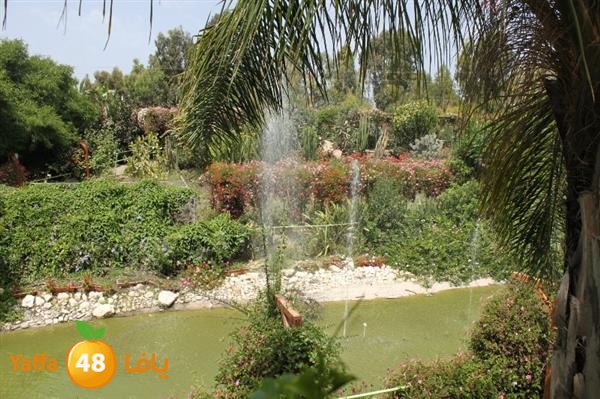 re7la mo2asaasa 0521 (8).JPG